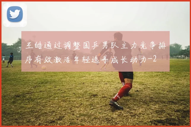 王皓通过调整国乒男队主力竞争排序有效激活年轻选手成长动力
