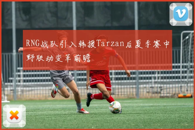 RNG战队引入韩援Tarzan后夏季赛中野联动变革前瞻