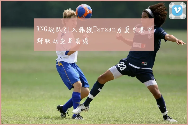 RNG战队引入韩援Tarzan后夏季赛中野联动变革前瞻